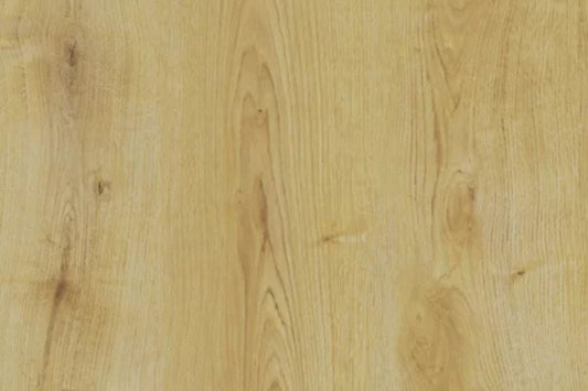 Privas Oak