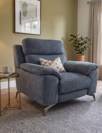 Armchairs / 1 Seater Sofas