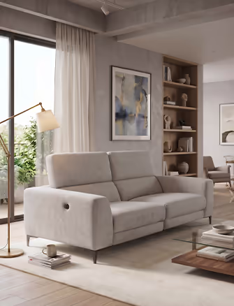 2.5 Seater Sofas