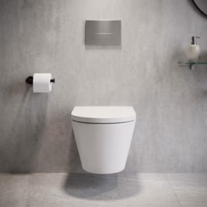 Newport Back To Wall Toilet